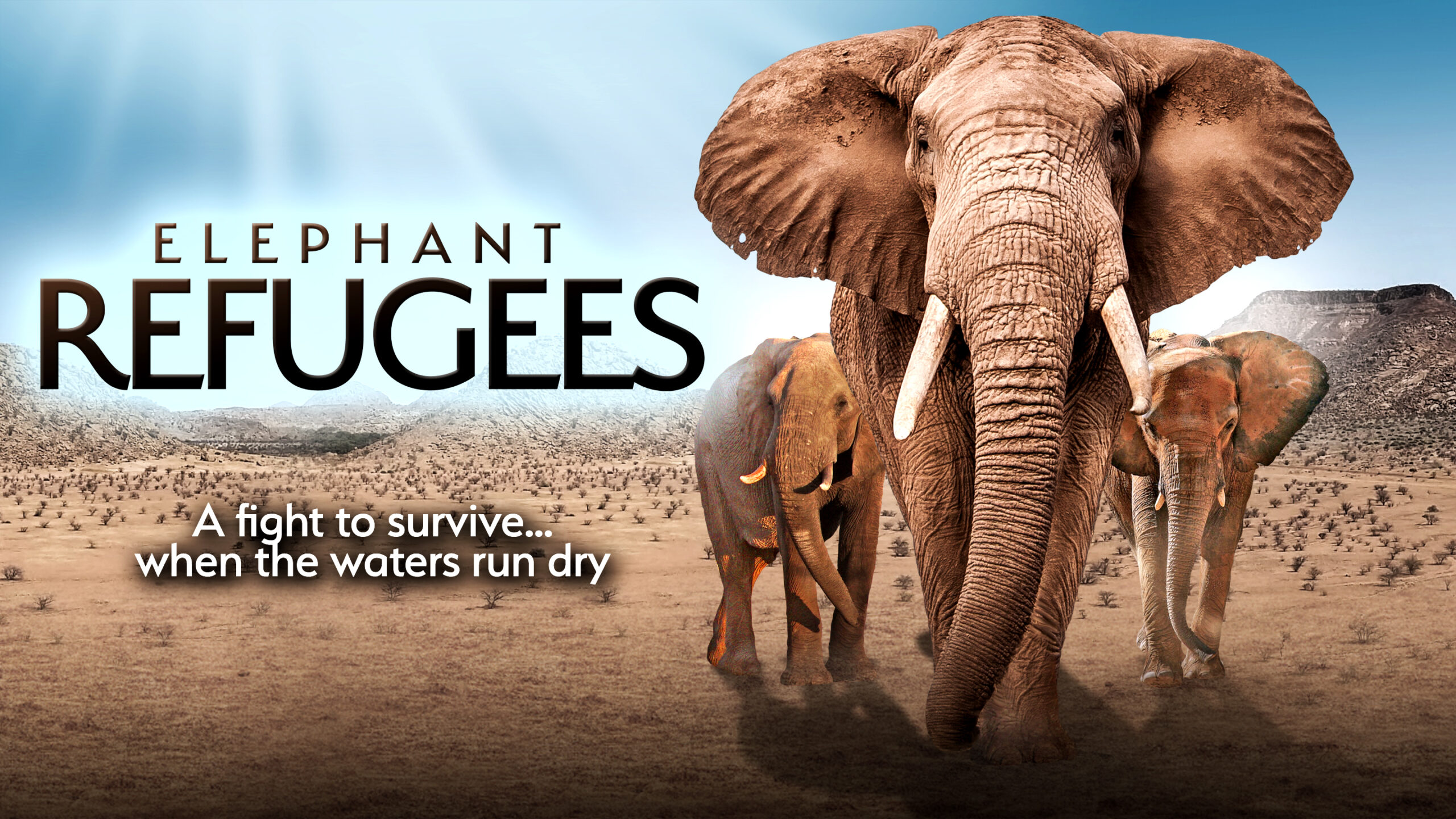 Elephant Refugees_16x9_2880x1620